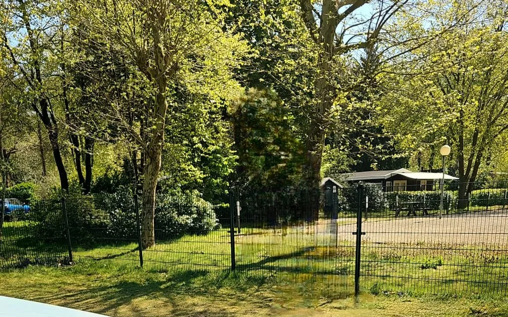 Springkussen in de groene tuin