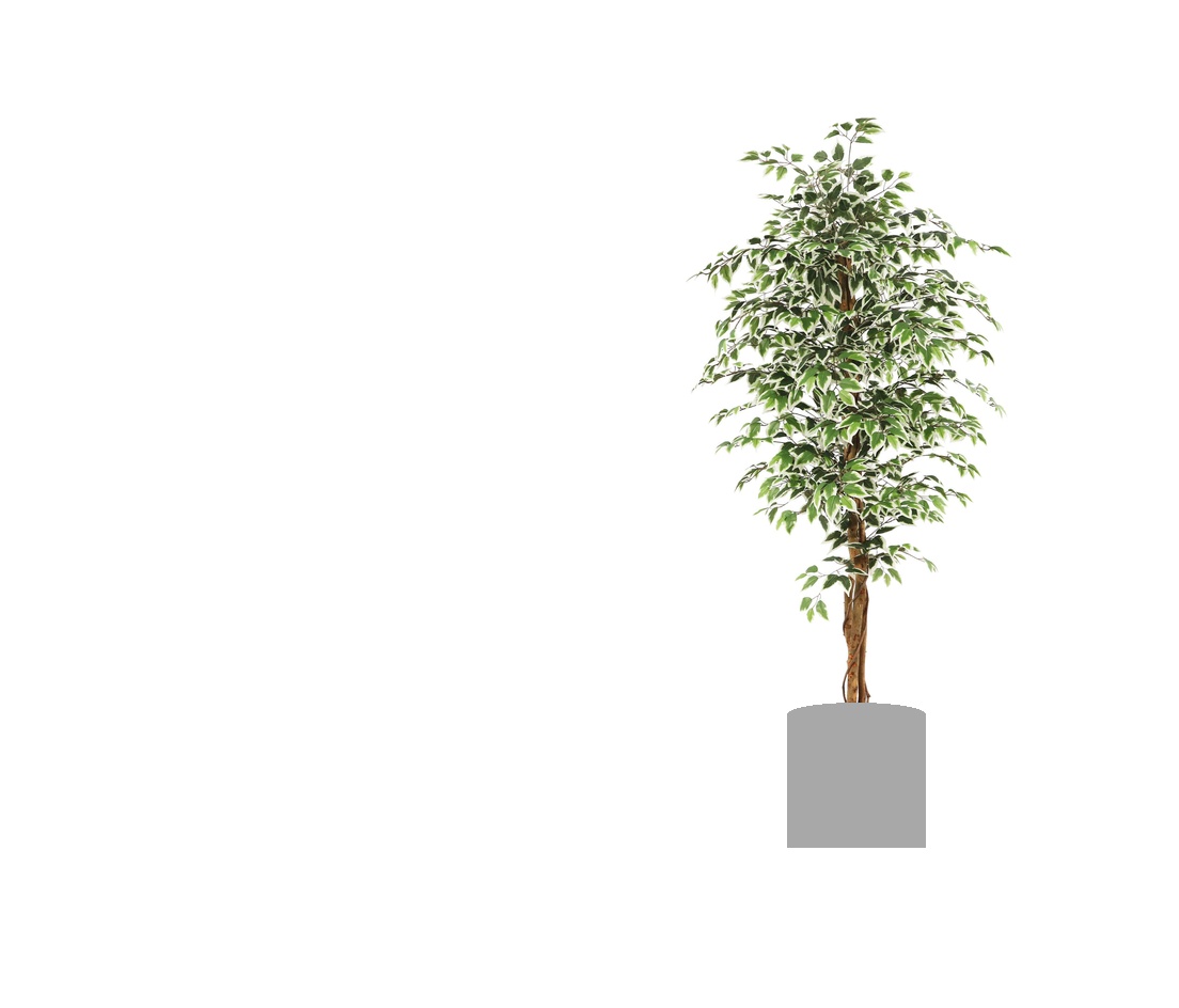Het aangeleverde beeld: een liggend wit vlak met rechts een kunstmatige ficus zonder pot, en onder de stam een egaal grijze cilinder die de plaats van de plantenbak markeert. De linkerhelft is helemaal wit.