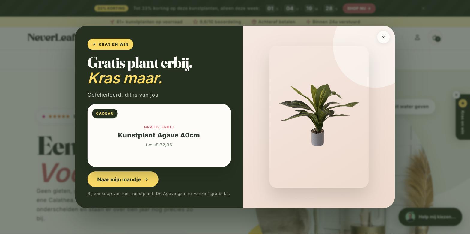 Het geopende krasvenster van NeverLeafs na het krassen. Links op donkergroen de kop gratis plant erbij, kras maar, met daaronder een witte kaart met het cadeau, kunstplant Agave 40 cm ter waarde van 32,95 euro, en een gele knop naar mijn mandje. Rechts een foto van de Agave op een roze vlak.